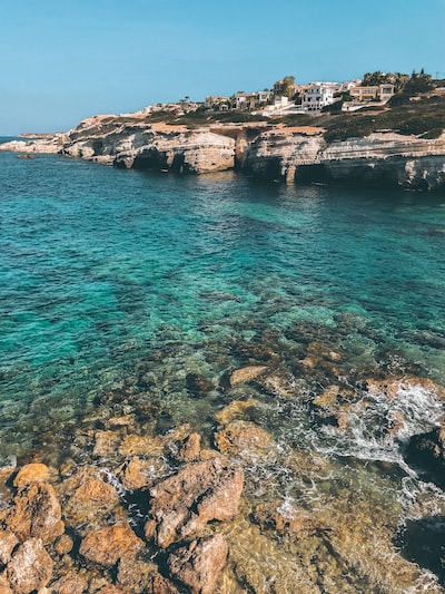 sea beauty